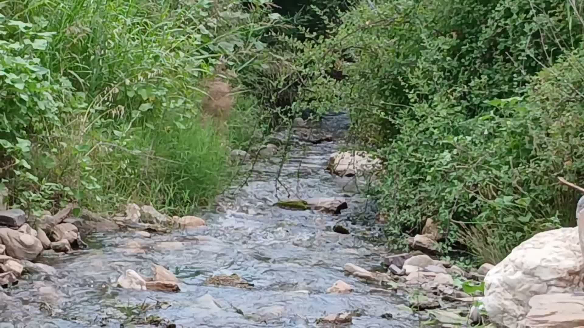 su kaçakları