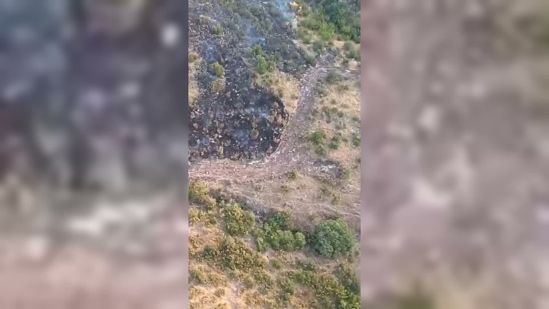 Orman yangını