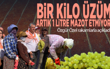 üzümlerin mazot değeri