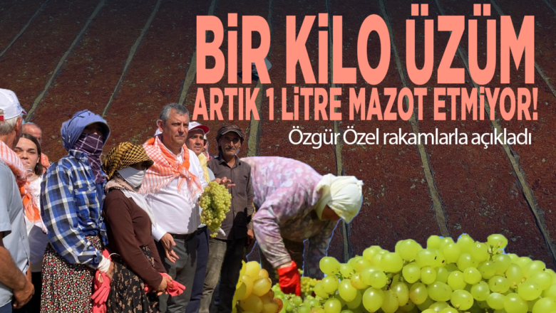 üzümlerin mazot değeri