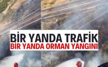 orman yangını