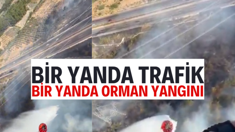 orman yangını