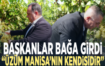 Bağbozumu Şenlikleri