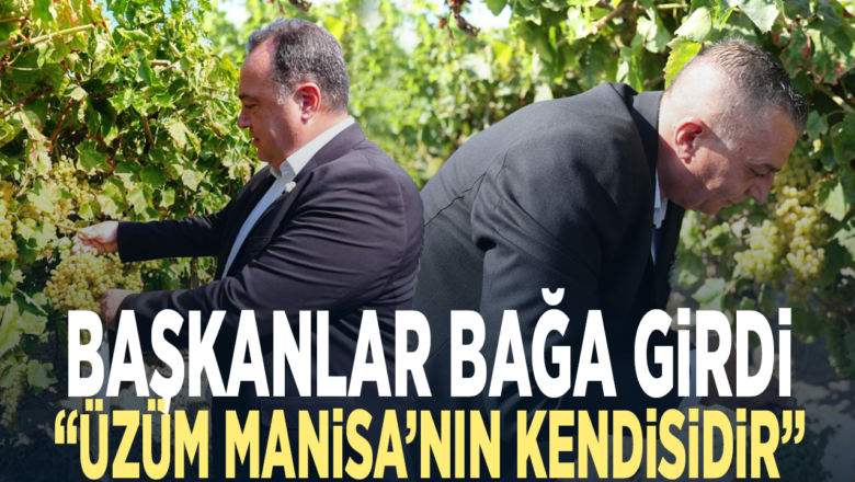 Bağbozumu Şenlikleri