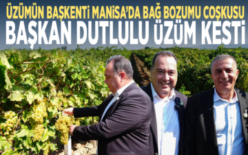 Bağ Bozumu