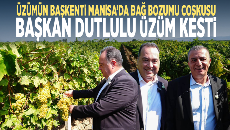 Bağ Bozumu