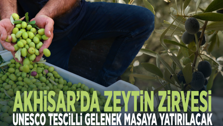 zeytin kültürü