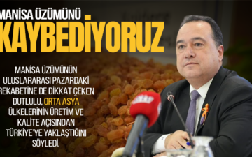 Manisa üzümü