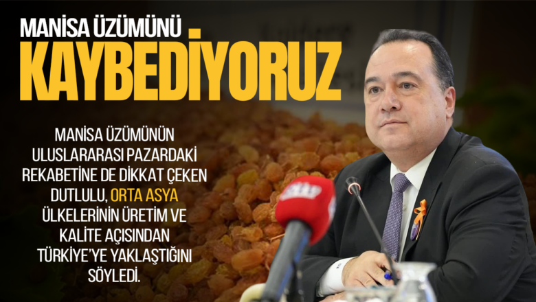 Manisa üzümü