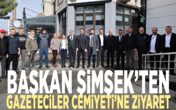 Yerel basın