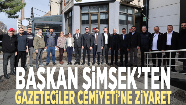 Yerel basın