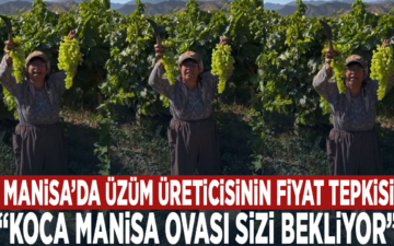 uzüm fiyatı