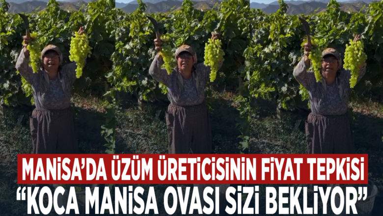 uzüm fiyatı